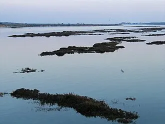 O Parque Natural da Ria Formosa