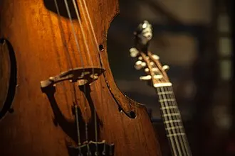 Viol, 1694, by Joachim Tileke ; viol (pardessus viola), 1745, by Pierre Larcher